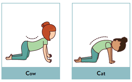 cat pose cow pose can and cow pose kids yoga