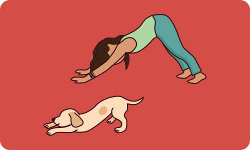 downward dog. yoga pose. Yoga poses for kids: down dog. Downward facing dog pose and dog illustatration.