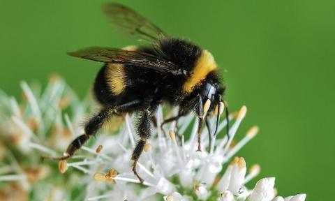 Breath, Movement and Nature -- Yoga for Spring Part III